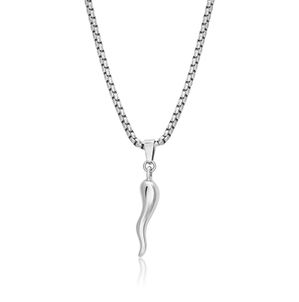 Stainless Steel Cornetto Pendant & Chain - SP93