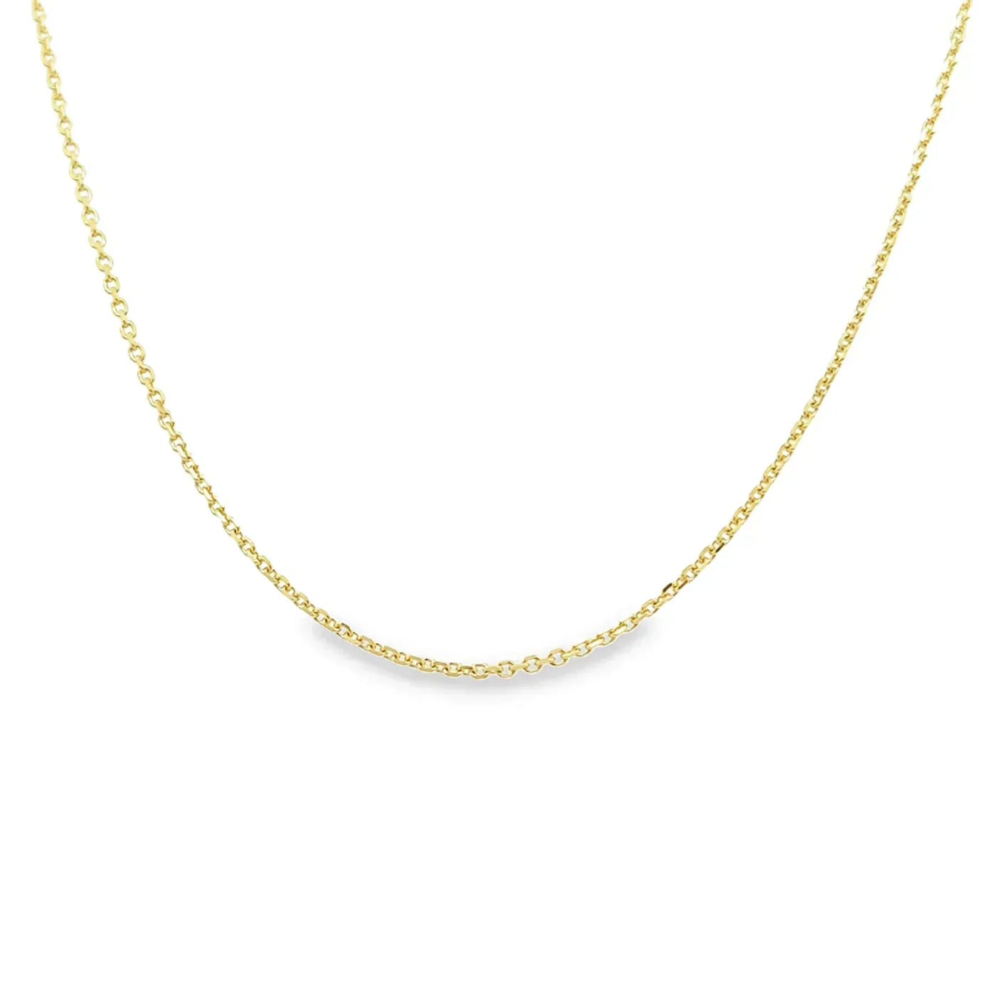 10 Karat Yellow Gold Leo Zodiac Disc Necklace